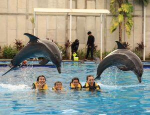 Farid Kamil Instagram - Unforgettable experience with Simba the dolphin at the @balimarinepark with my little family 🥲 The kids were so happy!!! 

Don’t miss this spot when you’re down in Bali - up close and personal with these sweet & intelligent creatures. 

Thank you for the memorable moments @balimarinepark, and #romantikaastro & @cogearproductions for setting up a special slot for us to enjoy Bali like we’ve never done before ❤️🤝