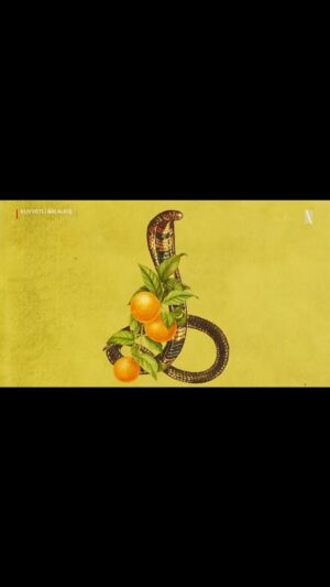Fatih Artman Instagram - Gel sen beni dinle.🍊Sen de bir seçim yap. 🐍 Bir hikaye yarat kendine. 🍊 Bul bir mücadele. 🐍 Savaş bir ömür. 🐍 Geber git! 🍊 Berkun Oya imzalı mini dizi #KuvvetliBirAlkış şimdi sadece Netflix’te.