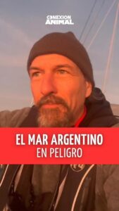 Actor Federico Amador HD Instagram Photos and Wallpapers March 2024