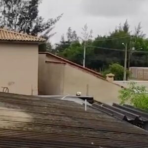 Federico Amador Instagram - Vos cuando te diste cuenta?? 😂🤗 ha ha ha