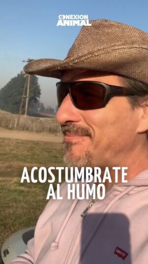 Federico Amador Instagram - Es vergonzoso que millones de habitantes tengamos q sufrir año tras año el humo  proveniente de las quemas en la isla. Pero no es solo eso: es el daño ambiental irreparable, la matanza de seres vivos, la contaminación. Señores es una VERGUENZA. 
En @conexionanimalnet venimos hablando de esto.
Hace años estamos pidiendo más controles, multas y sanciones y sin embargo ni jueces ni políticos se hacen cargo, cuando es muy fácil encontrar los focos de incendio y por lo ranto a los responsables de los mismos. Sin embargo siguen mirando para otro lado SISTEMÁTICAMENTE!!
.
Los humedales son ecosistemas fundamentales para la salud del planeta,.pero parece que no les importa!!
.
Mientras tanto siguen  pateando y entorpeciendo la sanción de una ley de humedales de verdad!
.
LA LIMPIEZA DEL CAMPO POR MEDIO DE LAS QUEMAS NO VA MÁS!!!
.
#bastadequemas #respeto #humo #controles #leydehumedalesya #bastadehumo