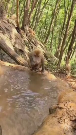 Federico Amador Instagram - Cuando mi hijo no se quiere bañar 😅❤️