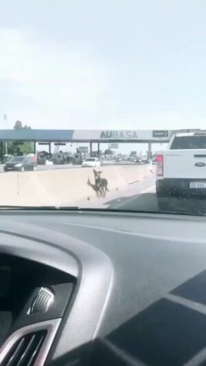 Federico Amador Instagram - Gente así❤️