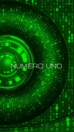 Federico Costantini Instagram - NUMERO UNO is OUT NOW on @beatport 2 week exclusive 🪐🪐

May 10th out everywhere 👊🏻

#costax #numerouno #dioscurirecords #melodictechno