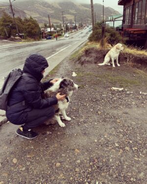 Federico Olivera Instagram - Población permanente. El Chalten.

@chaltensuiteshotel 

#patagoniargentina