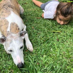 Felipe Torres Instagram - Ainda sobre intensa dor da perda compartilho publicamente essa declaração de amor à minha cachorrinha que se foi, a Lucy.
Lucy, você foi incessante luz de amor na vida de nossa família. Aliás, você foi a amálgama que nos uniu como família.
Passeios, corridas, brincadeiras, uma parceria inesquecível.
A vida sem você vai perder um pouco a graça, Pipi. Vai ser muito difícil superar sua ausência.
Estamos aqui, eu, minha amada esposa Carla e a nossa princesa Mia, numa tristeza abissal, mas vamos superar.
Todos os cantos da casa, do bairro, do sítio, da casa da minha sogra vão remeter a sua ausência por um tempo, mas o mesmo tempo há de transformar essa dor em memórias saudosas do seu amável convívio.
Com os olhos afogados em lágrimas me despeço de ti com essa homenagem pública do meu imenso amor.
EU VOU TE AMAR PARA SEMPRE, LUCY.