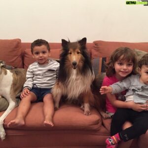 Felipe Torres Instagram - Ainda sobre intensa dor da perda compartilho publicamente essa declaração de amor à minha cachorrinha que se foi, a Lucy.
Lucy, você foi incessante luz de amor na vida de nossa família. Aliás, você foi a amálgama que nos uniu como família.
Passeios, corridas, brincadeiras, uma parceria inesquecível.
A vida sem você vai perder um pouco a graça, Pipi. Vai ser muito difícil superar sua ausência.
Estamos aqui, eu, minha amada esposa Carla e a nossa princesa Mia, numa tristeza abissal, mas vamos superar.
Todos os cantos da casa, do bairro, do sítio, da casa da minha sogra vão remeter a sua ausência por um tempo, mas o mesmo tempo há de transformar essa dor em memórias saudosas do seu amável convívio.
Com os olhos afogados em lágrimas me despeço de ti com essa homenagem pública do meu imenso amor.
EU VOU TE AMAR PARA SEMPRE, LUCY.