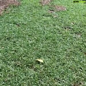 Felipe Torres Instagram - Ainda sobre intensa dor da perda compartilho publicamente essa declaração de amor à minha cachorrinha que se foi, a Lucy.
Lucy, você foi incessante luz de amor na vida de nossa família. Aliás, você foi a amálgama que nos uniu como família.
Passeios, corridas, brincadeiras, uma parceria inesquecível.
A vida sem você vai perder um pouco a graça, Pipi. Vai ser muito difícil superar sua ausência.
Estamos aqui, eu, minha amada esposa Carla e a nossa princesa Mia, numa tristeza abissal, mas vamos superar.
Todos os cantos da casa, do bairro, do sítio, da casa da minha sogra vão remeter a sua ausência por um tempo, mas o mesmo tempo há de transformar essa dor em memórias saudosas do seu amável convívio.
Com os olhos afogados em lágrimas me despeço de ti com essa homenagem pública do meu imenso amor.
EU VOU TE AMAR PARA SEMPRE, LUCY.