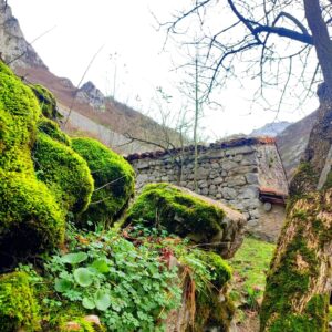 Félix Gómez Instagram - Montaña arriba... 💚
Caminar para despejar. 
Subir para desconectar. 
Conectar con lo que toca.
Descansar.
Bajar calmado, reconectado.

Y de premio...un cocido montañes😋🤣.