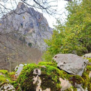 Félix Gómez Instagram - Montaña arriba... 💚
Caminar para despejar. 
Subir para desconectar. 
Conectar con lo que toca.
Descansar.
Bajar calmado, reconectado.

Y de premio...un cocido montañes😋🤣.