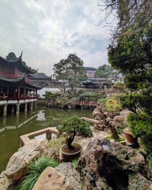 Félix Gómez Instagram - 🐉Viaje a China... Parte I.🐉

Ya estoy de vuelta en Madrid y desde mi sofá echo la mirada atrás. Han sido diez días increíbles, sin descanso, apasionantes. No tenía China en mi radar de próximos destinos pero surgió la oportunidad de visitarla con un grupo de amigos  y ahí que me apunté. El choque nada mas aterrizar es fuerte, a pesar de haber carteles en inglés, ellos apenas lo hablan, y el comunicarse se convierte en una verdadera dificultad. Impedimento que se resuelve rápido con grandes dosis de ganas y paciencia. Primera parada ha sido en Shangai... capital económica de China, ciudad donde los Jardines de Yuyuan conviven con los rascacielos. La segunda torre mas alta del mundo está aquí, las vistas desde arriba impresiona mucho. Su calle principal recuerda a Times Square por la cantidad de luces. Sus mercados de comida te invitan a parar en cada puesto, mil olores nuevos te invaden, abren el apetito pero el ojo no sabe donde posarse, todo es nuevo, nada resulta familiar y como ya he dicho es difícil preguntarles qué es, no queda mas remedio que pedir lo que sea y esperar que esté rico...😅. 

Próximo post Xian...😉