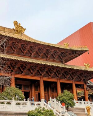 Félix Gómez Instagram - 🐉Viaje a China... Parte I.🐉

Ya estoy de vuelta en Madrid y desde mi sofá echo la mirada atrás. Han sido diez días increíbles, sin descanso, apasionantes. No tenía China en mi radar de próximos destinos pero surgió la oportunidad de visitarla con un grupo de amigos  y ahí que me apunté. El choque nada mas aterrizar es fuerte, a pesar de haber carteles en inglés, ellos apenas lo hablan, y el comunicarse se convierte en una verdadera dificultad. Impedimento que se resuelve rápido con grandes dosis de ganas y paciencia. Primera parada ha sido en Shangai... capital económica de China, ciudad donde los Jardines de Yuyuan conviven con los rascacielos. La segunda torre mas alta del mundo está aquí, las vistas desde arriba impresiona mucho. Su calle principal recuerda a Times Square por la cantidad de luces. Sus mercados de comida te invitan a parar en cada puesto, mil olores nuevos te invaden, abren el apetito pero el ojo no sabe donde posarse, todo es nuevo, nada resulta familiar y como ya he dicho es difícil preguntarles qué es, no queda mas remedio que pedir lo que sea y esperar que esté rico...😅. 

Próximo post Xian...😉