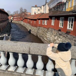 Felix Herngren Instagram - Gurkstaden Västerås blev New York. Heja Sverige!