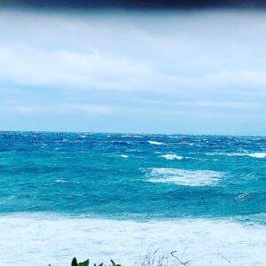 Feridun Düzağaç Instagram - Hava dokuz lodos. İçim yangın yeri. Memleket gibi. Yalan ve nefretle dolmuş ve içi boşaltılmış gibi. Ne zor bu ülkede kadın olmak , sokak hayvanı olmak, yürek ve hakkaniyet taşımak ne zor. . .
Onurlu ve arsız yalnızlığımın adasından -önemsiz- kişisel tarihime not olsun. Nefret ve yalana isyanım olsun • mart 2021/ ada’M