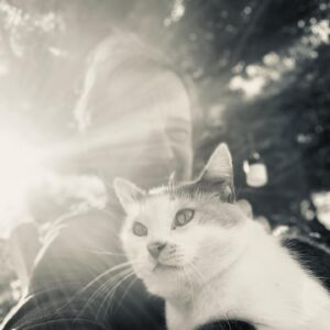 Feridun Düzağaç Instagram - Kışı bekliyoruz biz • belki sözler değişir...