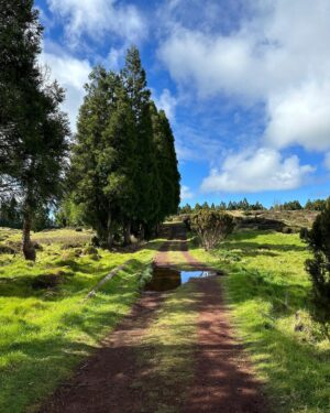 Fernanda Diniz Instagram - Açores 💚 não precisa legenda…