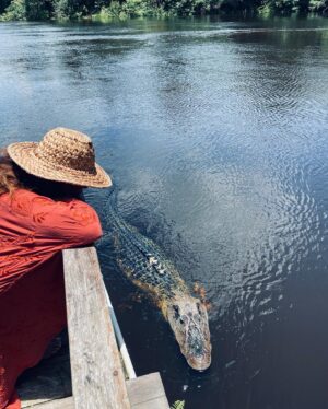 Fernanda Diniz Instagram - Pela Amazônia 💚