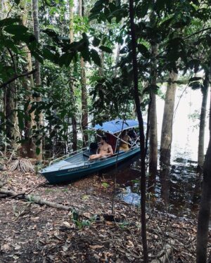 Fernanda Diniz Instagram - Pela Amazônia 💚