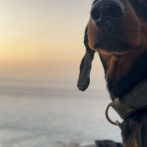 Fernando Fernandes Instagram - A quarta mais bonita de Janeiro.