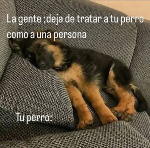 Fernando Tejero Instagram - Buena semana para todos 🙌🏻❤️
