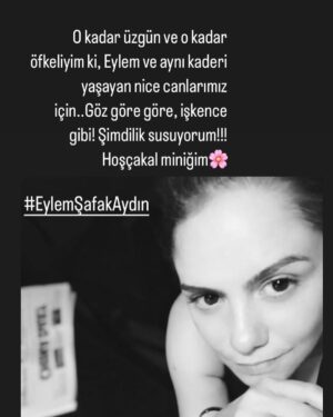 Feyza Işık Instagram - Üzüntüm ne kadar büyükse öfkem de o kadar büyük!!! Sorumlularını asla affetmeyeceğim, canımın yarısı Eylem ve nice canlarımızın!!!#EylemŞafakAydın