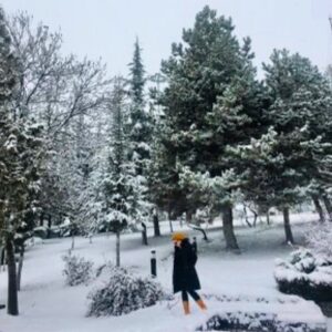 Feyza Işık Instagram - Temizlesin kalpleri❄️
