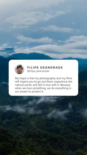 Filipe DeAndrade Instagram - And this beacon of hope is my greatest motivation, day after day! Thank you to everyone here for your continued support, our shared vision & for helping me amplify our work & message. 

#KeepItWild