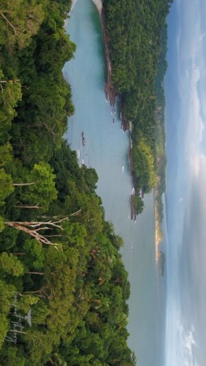 Filipe DeAndrade Instagram - Costa Rica for @unbiodiversity Takeover week! @filipe_deandrade 🐆🐬🐋🦈🐍🦜
This captivating country holds a special place on the global map, renowned for its commitment to environmental preservation and being at the forefront of conservation efforts. However, as we witness the incredible wildlife and breathtaking vistas showcased in this video, we are reminded that there is still much work to be done.
#CostaRica stands as a beacon of hope, a shining example of what can be achieved when a nation embraces sustainability and cherishes its natural treasures. Its lush rainforests, pristine beaches, and diverse ecosystems provide a sanctuary for countless species, both iconic and lesser-known. Yet, even in this green paradise, threats loom, from deforestation, overdevelopment, climate change and more.
As we marvel at the wonders captured in this video, lets forget our collective responsibility. Each one of us has a role to play in preserving the irreplaceable beauty of Costa Rica and safeguarding its fragile ecosystems. By supporting local conservation initiatives, promoting sustainable practices, and raising awareness, we contribute to the ongoing mission of protecting our planet.
Costa Rica’s journey towards a sustainable future is an ongoing process, and together, we can ensure that its legacy as a conservation leader endures. Let’s work hand in hand to nurture its natural treasures, fostering a world where harmony between humans and nature thrives.

#KeepItWild #WorthMoreAlive #StayWild