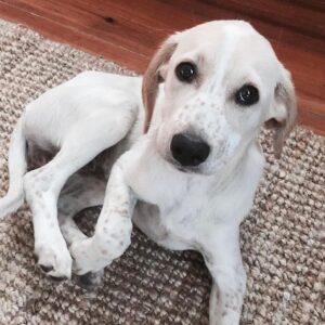Filipe Vargas Instagram - Parabéns Lola Maria da Conceição Flores por seres há 9 anos uma companheirona e pêras. (eu sei que foi ontem, Lola, mas mais vale tarde que nunca). Feliz aniversário minhota linda do meu coração.
#umacadelachamadalola