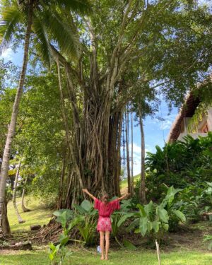 Fiona Horsey Instagram - Mi amor por los árboles a veces parece una obsesión...voy en 150 árboles sembrados y voy por muchos más! My love for trees is almost an obsession...I've planted 150, my aim is many more!! #campo #vidadecampo#arboles #amolosarboles #sembrar #countryside #countrylife #trees #ilovetrees #planttrees