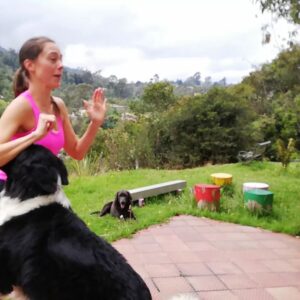 Fiona Horsey Instagram - Cuando tu perro no deja entrenar, pero entretiene a tus hijos!! 😂 Pepe perro divino en plena adolescencia!

#perros #dogs #entrenar #divertido #hija #risas #cutedogs