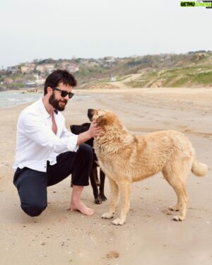 Fırat Topkorur Instagram - Bakın çocuklar, sizin ağzınızı yüzünü yerim. Tşk 🐶