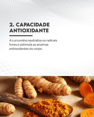 Flavio Passos Instagram - Quero te contar mais sobre a cúrcuma, raiz da família do gengibre que é possivelmente uma das substâncias da natureza mais benéficas para a saúde humana.

É a especiaria de vibrante tonalidade amarelo-dourada que dá ao curry sua cor e tem sido utilizada há milênios na Ayurveda, tradicional medicina indiana, como fonte de saúde e bem-estar. Seus compostos são chamados de curcuminoides, dentre os quais o mais importante é a curcumina. 

A ciência moderna destaca a curcumina como um dos mais nobres compostos naturais, uma dádiva com mais de 5.600 estudos científicos publicados para detalhar suas diversas propriedades saudáveis. 

Deslize para o lado e conheça nove dos diversos benefícios que a cúrcuma pode trazer à saúde.

Acesse puravida.com.br e conheça nossa linha de produtos com cúrcuma e curcumina biodisponível. Compre pelo site e receba em casa!

Estudos:
https://pubmed.ncbi.nlm.nih.gov/31121255/
https://pubmed.ncbi.nlm.nih.gov/27533649/
https://www.ncbi.nlm.nih.gov/pmc/articles/PMC7694612/