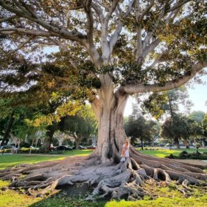 Flavio Passos Instagram - Embora desprovida de dualidade, usamos o pronome feminino para "árvore" em função desta planta expressar alguns dos atributos mais belos da natureza da mulher:

- Acolhimento e aceitação, através de sombra e proteção da intensidade do sol.

- Abundância, generosidade, doação e fertilidade, através de seus frutos, sementes, óleos essenciais e extratos medicinais.

- Proteção, pois sua presença em torno de córregos e nascentes é a principal forma de preservá-los.

- Beleza, através de imensa variedade de cores e espécies, além de flores que se alternam ao longo das estações.

Nasci com uma sensibilidade que me permite ter afinidade com as mulheres.

Aos 5 anos, acompanhava de perto as cozinheiras de cada casa que visitava. Com elas aprendi a alegria que existe em preparar e servir uma boa receita, pelo simples prazer de ver o outro feliz.

Na escola, minhas amigas eram principalmente as meninas, as quais sempre achei mais maduras e inteligentes do que os meninos da minha idade. Com elas aprendi que os meninos nem sempre eram gentis, e o quanto isto causava dor.

Recebi da vida uma menina, que me ensina a cada dia a ser melhor, e a ser firme sem perder a ternura. Ela me ensinou que não é preciso ser bruto para ser masculino.

Esta proximidade com a intimidade das mulheres me ensinou a compreender melhor suas necessidades. 

E, compreendendo que a nutrição e auto cuidado são prioridades da mulher (comprovando sua maturidade inata), desenhei meu trabalho na Puravida principalmente para elas - até porque, na maioria dos casos, são as responsáveis pelas escolhas nutricionais de sua família.

Celebro a simbologia do dia de hoje com alegria, pois 90% do meu público são as mulheres, as quais sirvo pelo simples prazer de vê-las cada vez mais felizes, cada vez mais saudáveis.

Para reconhecer e apreciar o valor do feminino, é preciso antes reconhecer seus atributos e qualidades dentro de si próprio. Isto serve para homens e mulheres.

Envio flores e agradecimentos pelo tanto que recebo de cada uma de vocês.  💐🙏💚