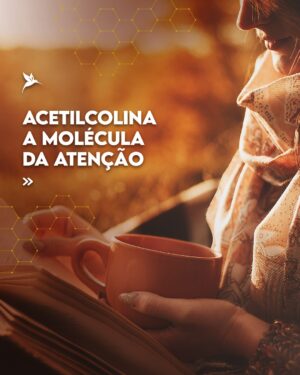 Flavio Passos Instagram - A acetilcolina pode ser considerada a molécula da atenção.

Embora tenha papel também na contração muscular, na produção de sucos digestivos, na vasodilatação e controle da pressão arterial, na redução da inflamação e na atividade do sistema nervoso parassimpático — sua função de maior destaque é a promoção da saúde neuronal e do funcionamento cognitivo.

O Brain Focus, novo suplemento da Puravida, é um nootrópico estruturado a partir de nutrientes que estimulam a síntese do neurotransmissor acetilcolina, ainda mais estimulado por um composto ativo que favorece o estado de alerta, a concentração e a performance mental.

Acesse o site www.puravida.com.br e conheça o Brain Focus! Compre e receba em casa 🧠