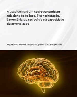 Flavio Passos Instagram - A acetilcolina pode ser considerada a molécula da atenção.

Embora tenha papel também na contração muscular, na produção de sucos digestivos, na vasodilatação e controle da pressão arterial, na redução da inflamação e na atividade do sistema nervoso parassimpático — sua função de maior destaque é a promoção da saúde neuronal e do funcionamento cognitivo.

O Brain Focus, novo suplemento da Puravida, é um nootrópico estruturado a partir de nutrientes que estimulam a síntese do neurotransmissor acetilcolina, ainda mais estimulado por um composto ativo que favorece o estado de alerta, a concentração e a performance mental.

Acesse o site www.puravida.com.br e conheça o Brain Focus! Compre e receba em casa 🧠