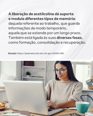 Flavio Passos Instagram - A acetilcolina pode ser considerada a molécula da atenção.

Embora tenha papel também na contração muscular, na produção de sucos digestivos, na vasodilatação e controle da pressão arterial, na redução da inflamação e na atividade do sistema nervoso parassimpático — sua função de maior destaque é a promoção da saúde neuronal e do funcionamento cognitivo.

O Brain Focus, novo suplemento da Puravida, é um nootrópico estruturado a partir de nutrientes que estimulam a síntese do neurotransmissor acetilcolina, ainda mais estimulado por um composto ativo que favorece o estado de alerta, a concentração e a performance mental.

Acesse o site www.puravida.com.br e conheça o Brain Focus! Compre e receba em casa 🧠