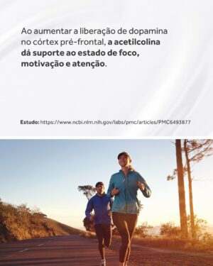 Flavio Passos Instagram - A acetilcolina pode ser considerada a molécula da atenção.

Embora tenha papel também na contração muscular, na produção de sucos digestivos, na vasodilatação e controle da pressão arterial, na redução da inflamação e na atividade do sistema nervoso parassimpático — sua função de maior destaque é a promoção da saúde neuronal e do funcionamento cognitivo.

O Brain Focus, novo suplemento da Puravida, é um nootrópico estruturado a partir de nutrientes que estimulam a síntese do neurotransmissor acetilcolina, ainda mais estimulado por um composto ativo que favorece o estado de alerta, a concentração e a performance mental.

Acesse o site www.puravida.com.br e conheça o Brain Focus! Compre e receba em casa 🧠