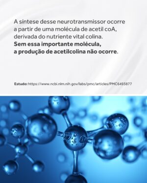 Flavio Passos Instagram - A acetilcolina pode ser considerada a molécula da atenção.

Embora tenha papel também na contração muscular, na produção de sucos digestivos, na vasodilatação e controle da pressão arterial, na redução da inflamação e na atividade do sistema nervoso parassimpático — sua função de maior destaque é a promoção da saúde neuronal e do funcionamento cognitivo.

O Brain Focus, novo suplemento da Puravida, é um nootrópico estruturado a partir de nutrientes que estimulam a síntese do neurotransmissor acetilcolina, ainda mais estimulado por um composto ativo que favorece o estado de alerta, a concentração e a performance mental.

Acesse o site www.puravida.com.br e conheça o Brain Focus! Compre e receba em casa 🧠