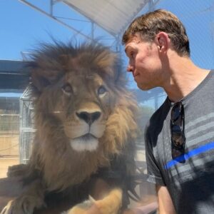 Forrest Griffin Instagram - I’m like 90% sure he’s asking me to jump the fence and pet him. @lionhabitatranch #lion #lions #king #lionking #rescue #cat #bigcats #bigcatsofinstagram #lionsofinstagram