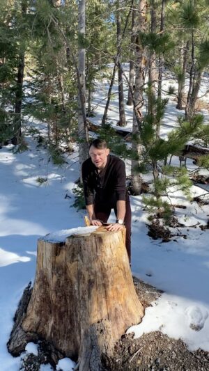 Forrest Griffin Instagram - Fun Fact Friday From Forrest coming from the forest!🌲 #dendrochronology #tree #trees #forest #mtcharleston #snow #mountains #nature #treestump #treerings #treesofinstagram #forestlovers #science #fact #funfacts #funfactfriday #funfact #lookitup #itstrue #leecanyon
