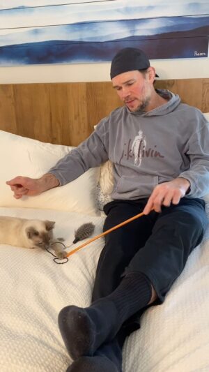 Forrest Griffin Instagram - Fun Fact Friday From Forrest, yes, on a Saturday. Why do Siamese change color? #siamese #siamesecat #siamesecatsofinstagram #cats #cat #catsofinstagram #catsofig #ilovecats #catsagram #catstagram #catslover #catscatscats #catsofinsta #siamesecats #kitten #facts #fact #facts💯 #factsonfacts #funfacts #funfactoftheday #catsrule #lovecats #lovecats #catslovers #catsworld