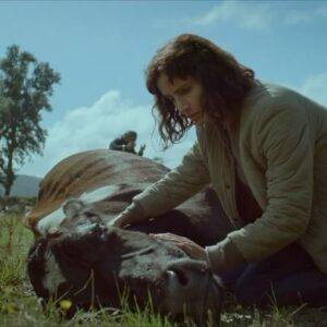 Francisca Alegría Instagram - SOON IN THEATERS 🐸
#CowWhoSang is “an emotionally satisfying, gripping family drama…with knockout bovine performances.” (@guardian) It will open May 19th at @QuadCinema in New York City before expanding to select theaters: bit.ly/cowwhosang 

PRONTO EN CINES 🐝
#lavacaquecantóunacanciónhaciaelfuturo es “un drama familiar conmovedor y emocionalmente gratificante… y con excelentes actuaciones bovinas.” (@guardian) Se estrena el 19 de mayo en @QuadCinema en NYC, seguido de su expansión a más cines en todos los Estados Unidos: bit.ly/cowwhosang
………………………
@kinolorber 
@cinemadefacto @woodproducciones @matchfactoryproductions @alegarciap
@shrifilm @caseybader @thematchfactory
@ferurrejola @la_leovarela @miamaestro
@alfredocastro703 @taglemarcial
@tatodubo @enzoferr._  @velasquezmariariquelme @____viajebeat____ @laorfa @elugar @joseluisrivas  @yo_soy_nahuel_ @consuelodesigner @oreja.de.oso @angelatorti @nickoroses @sheshesherson @panxo_alonso @michocervera @michocervera_makeup @ruben_aravena @creepyluk Y TODO EL EQUIPO DE ESTA PELÍCULA 🙏🏾