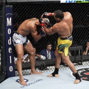 Francisco Trinaldo Instagram - Parabéns, @massaranduba por mais uma vitória no UFC 274🇧🇷
Brasília e o Brasil torcem sempre por você! 
Sua força, persistência e dedicação são inspiração para todos nós!
Siga em frente meu amigo! Que Deus te abençoe em sua caminhada. 🇧🇷👊🏼🥊 
.
.
.
.

.
.
.

.
.
.
.
#ufc274 #ufcbrasil #ufcbrasilia 
#planaltinadf #mmabrasilia #mmabrasil 
#capitalesportes #brasiliadf #esportebsb #atletas #brasilia #brasiliaesportes #esportebrasília #esportebrasilia #nucleobandeirante  #grandecolorado #guará #riachofundo #taguatinga #brasilia #planopilotodf #sobradinhoI #sobradinho #ceilandia #recantodasemas #samambaiasul #samambaianorte #santamaria #gamadf #leobuarque #leonardobuarque