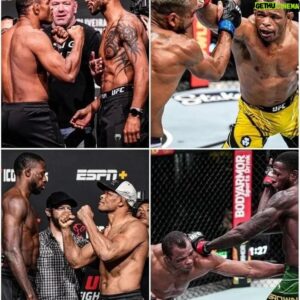 Francisco Trinaldo Instagram - 