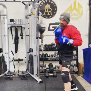 Frank Grillo Instagram - #ZENMODE Fending off the Monday post Christmas blahs blues and blams.  Finishing up something that requires complete concentration at the end of tour workout actually burns more calories. Get off your ass today and get it !!!!! #traintolive. @chrisvanheerden001 @churchillboxing 🙏🥊