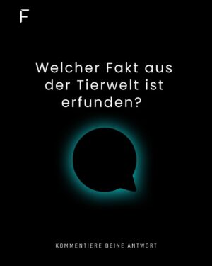 Frank Thelen Instagram - Quiz 💥 Welcher Fakt aus der Tierwelt ist erfunden? 🐜🕷️🐿️

Ich liebe Tier-Filme 🍿, unsere Tierwelt ist einfach beeindruckend. Heute daher ein Rätsel mit echten Geschichten von Mutter Natur. 🌳

Zwei sind wahr, eine ist frei erfunden. Und? 🐛🕵🏼‍♀️

1. Einige Spinnenarten nutzen ihre Netze nicht nur zum Fangen von Beute, sondern auch als Kommunikationsnetz durch Vibrationssignale. 🕷️💬
2. Der Pilz Ophiocordyceps unilateralis infiziert bestimmte Ameisenarten und manipuliert ihr Verhalten, bis er sie tötet und aus ihrem Körper wächst. 🍄🐜
3. Eichhörnchen küssen sich bei einer Begegnung, um sich wiederzukennen. 🐿️💋 

Gebt jetzt euren Tipp in den Kommentaren ab & nicht schummeln! Ich bin gespannt, wer diesmal richtig liegt. 

Viel Spaß beim Raten! 😁👇🏼

#tierfakten #künstlicheintelligenz #ai #tierfakten
