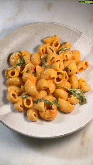 Frankie Celenza Instagram - Follow @frankiecooks for more visual recipes like this Spicy Lumache #nightimenoodles #pasta