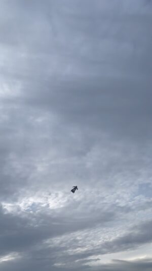 Franky Zapata Instagram - Reaching 230km/h🚀

#frankyzapata #flyboardair #jetpack #zapata #future #technology #innovation #engineering #mobility