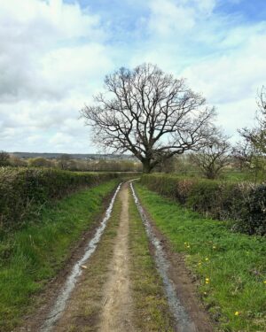 Fred Sirieix Instagram - Back from a spectacular 15kms walk in the Surrey hills. Can you guess where from the pictures? What beautiful and tranquil countryside. The clean air and sounds of the forest is such a good way to clear your head and open the appetite. Left over #beefbourguignon with roast potatoes tonight 😋